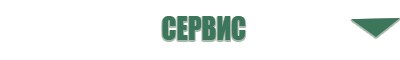 Дэнас Вертебра 1